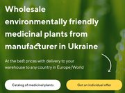 Sale of medicinal plants in bulk from the manufacturer at the best pri