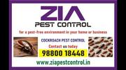 Zia Pest Control Services | Cockroach pest control Bengaluru | 5083123