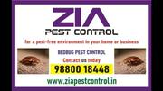 Zia Pest Control | Commercial