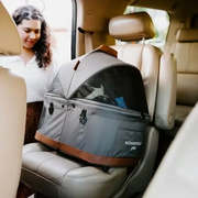 Exceptional Pet Accessories for Extraordinary Pets