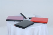 Wholesale fashion laptops with WiFi, 1GB DDR2,  160G Hard Disk