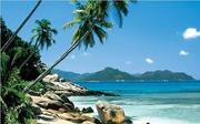 flights to Seychelles from Manchester